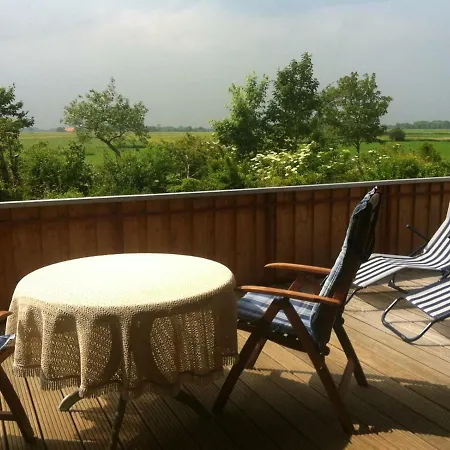 Strandgerste Schillig